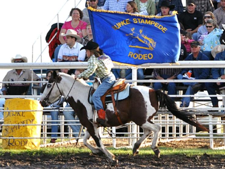 c3817484a16d9ef0e5063947f764a28d-burkestampederodeo-burke-47e0a20f.jpg