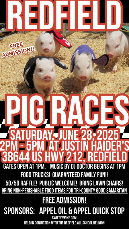 pig-race-final-copy-82a69b3a.png