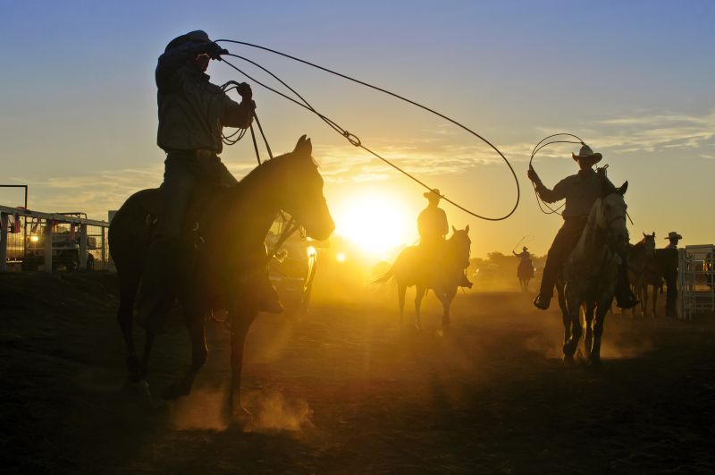 rodeo00303-1-d0ecf5ff.jpg