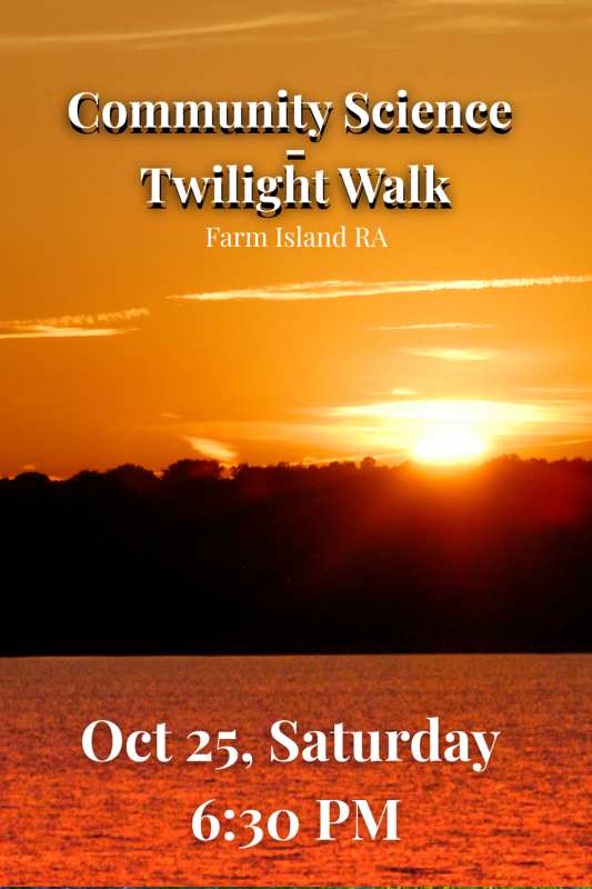 twilight-walk-b5401702.png