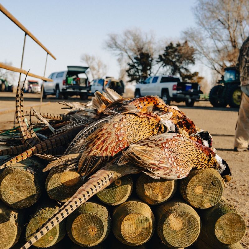 PRAIRIE LEGENDS OUTFITTERS