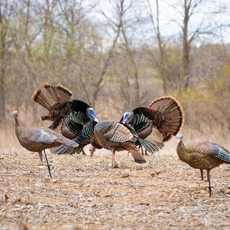PRAIRIE LEGENDS OUTFITTERS