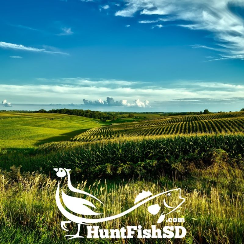 HuntFishSD.com