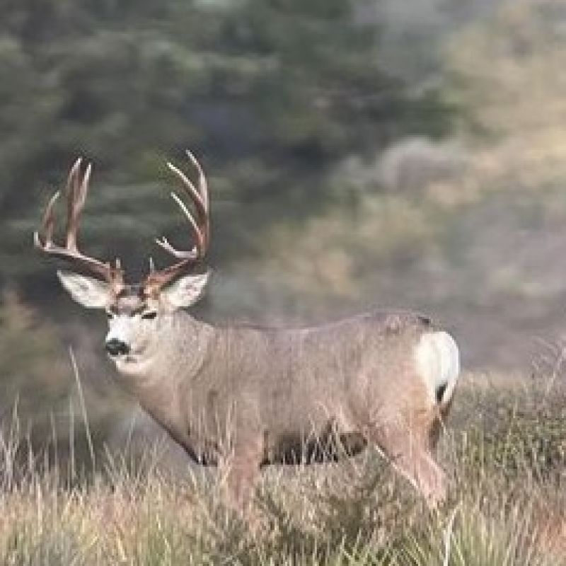 Lower Brule Sioux Tribe Department of Wildlife, Fish & Recreation