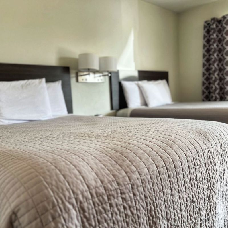 MoRest Motel and MoPro Guiding Services