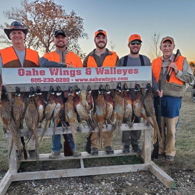 Oahe Wings & Walleyes