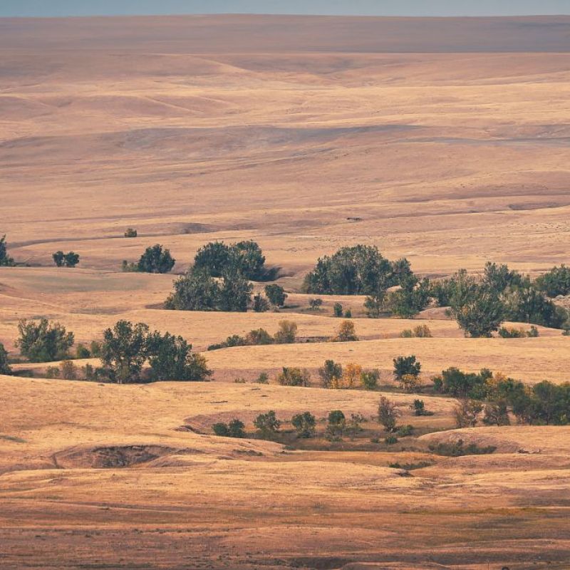 Buffalo Road Ranch