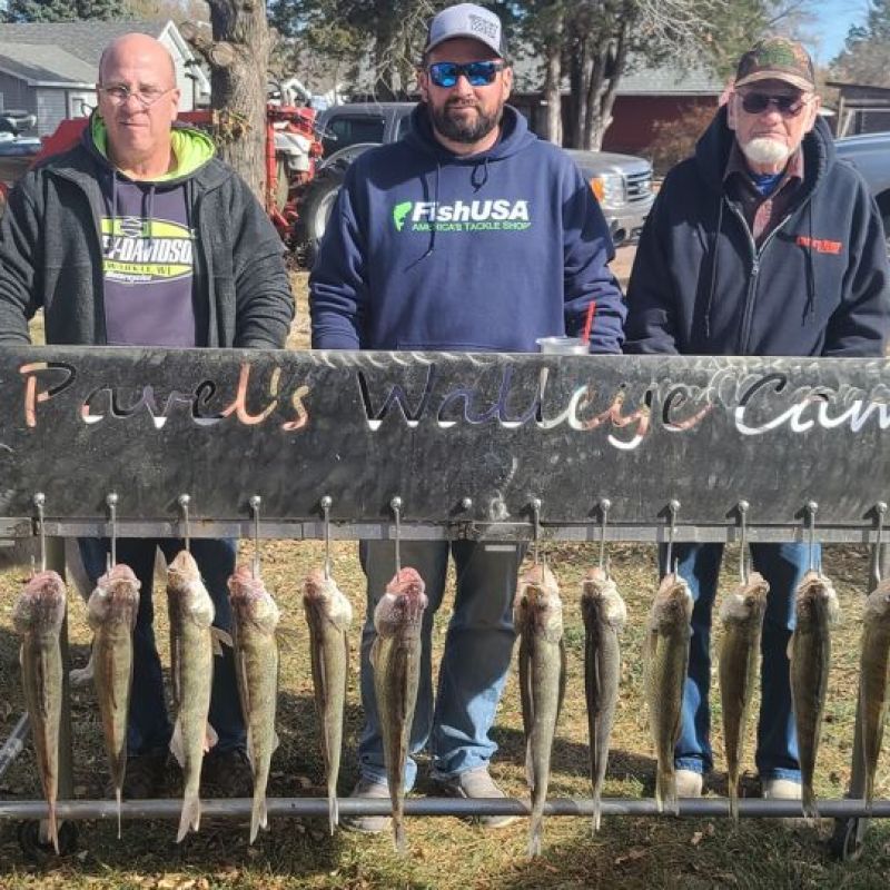 Pavel's Walleye Camp