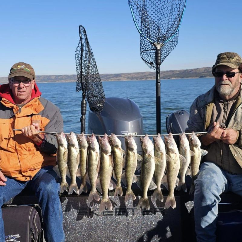 Pavel's Walleye Camp