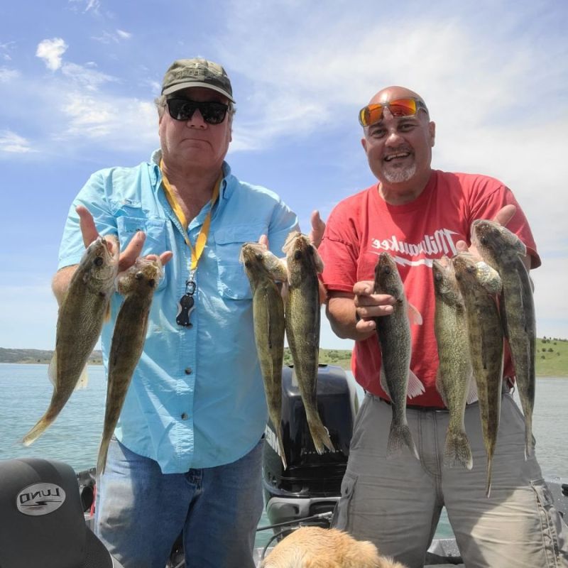 Pavel's Walleye Camp