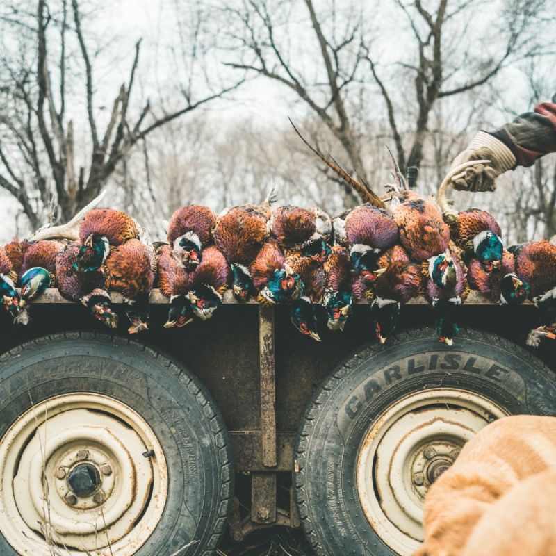 PRAIRIE LEGENDS OUTFITTERS