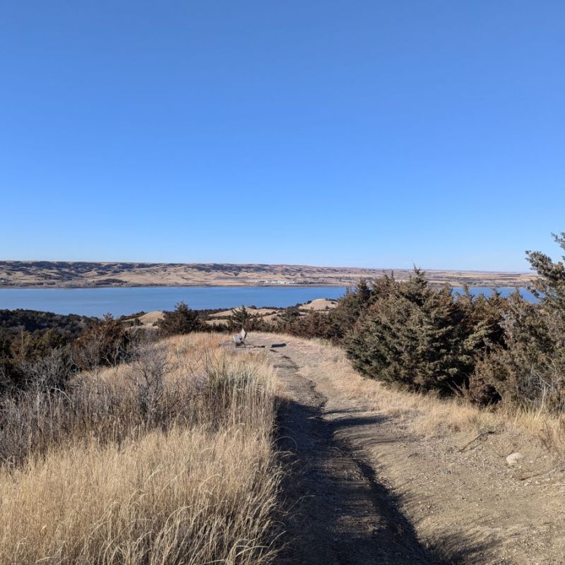 Roam Free Park Trail