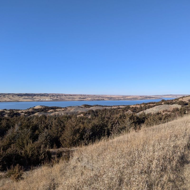 Roam Free Park Trail