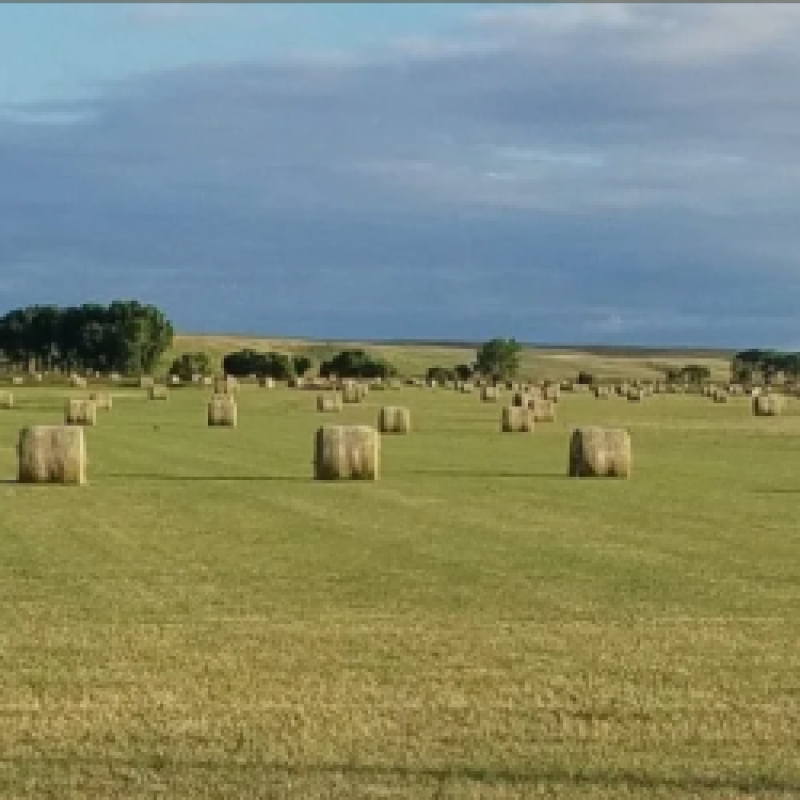 Onida Area Economic Development