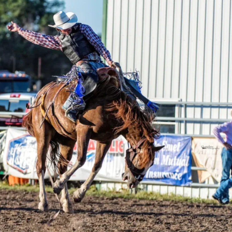 Onida Area Economic Development