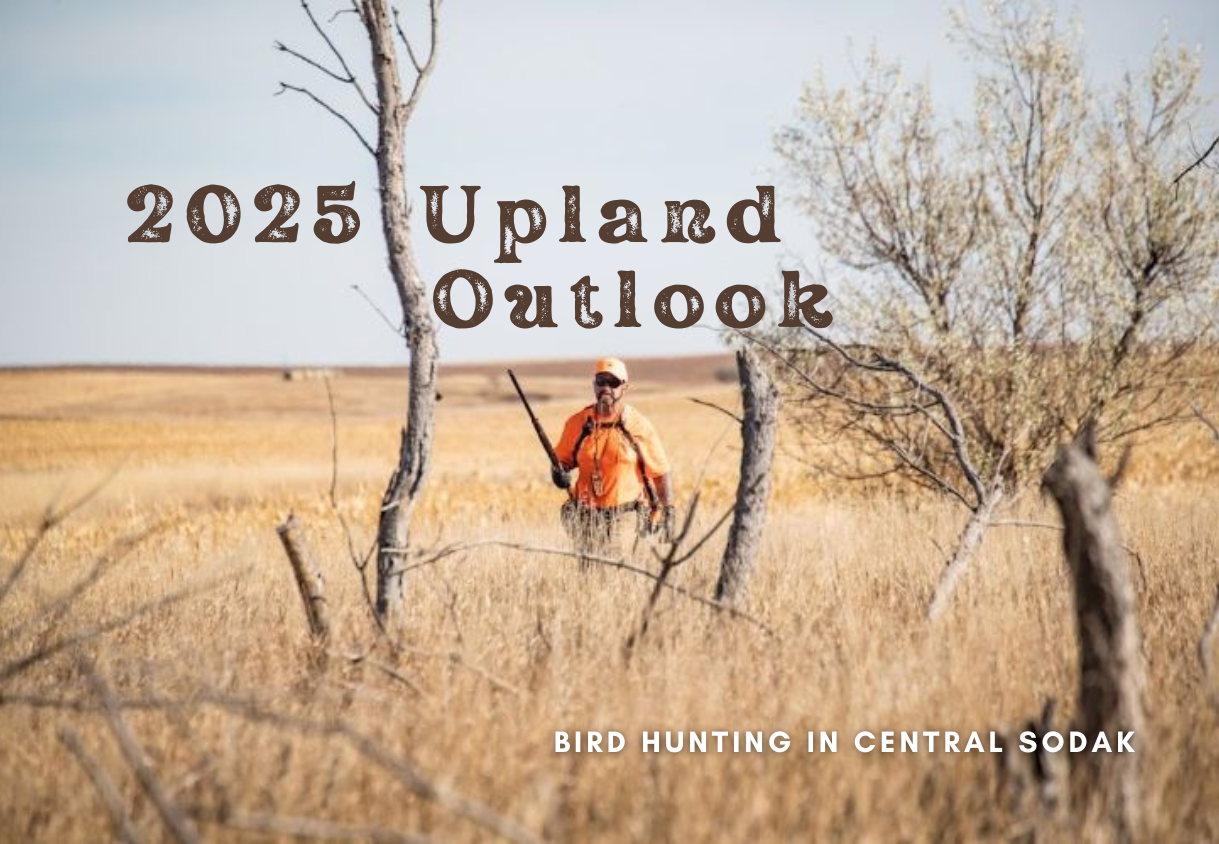 2025 Upland Outlook: Bird Hunting in Central SoDak
